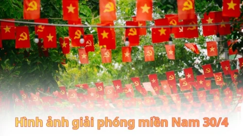 Tổng hợp 1000+ hình ảnh giải phóng miền Nam 30/4 đẹp, ý nghĩa nhất