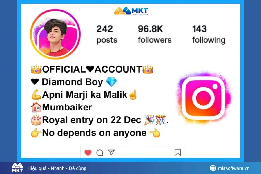 Minh họa về Instagram Bio thu hút và thể hiện sự chuyên nghiệp