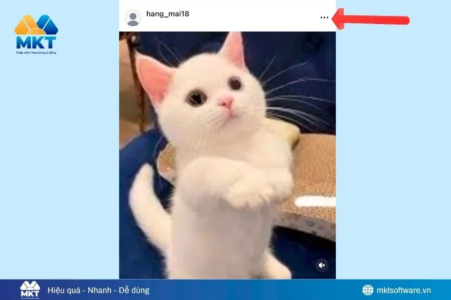 Cách mở lại ảnh lưu trữ trên Instagram đơn giản nhất