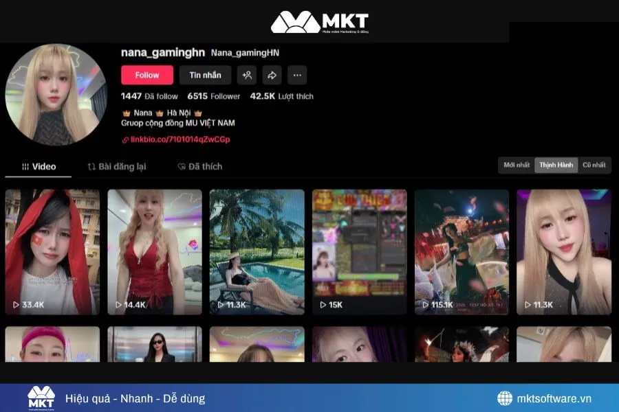 Hình ảnh minh họa về kết quả thực tế kênh của anh Đinh Văn Tân