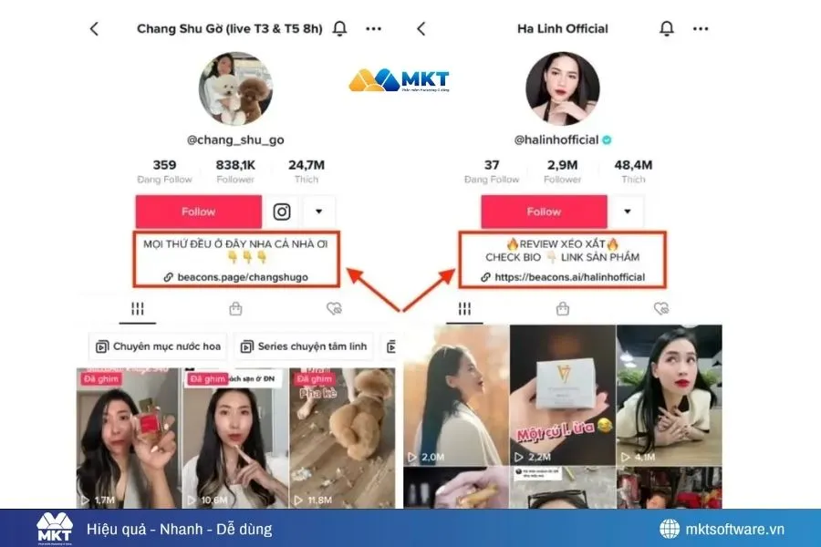 Nên có avatar và bio rõ ràng