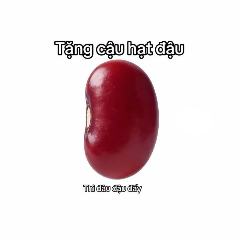 Avatar hạt đậu hài hước Avatar hạt đậu hài hước