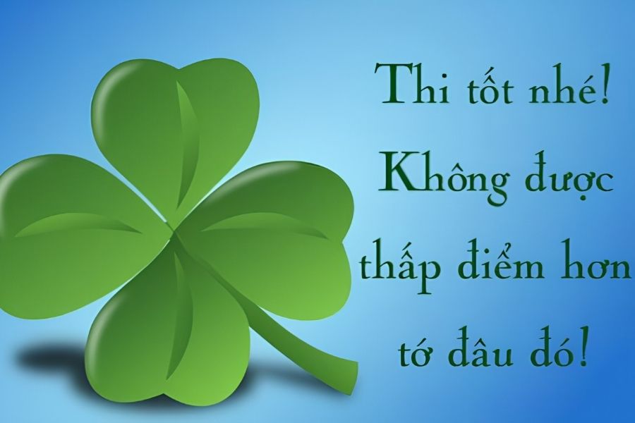 Avatar cỏ 4 lá kèm lời chúc thi tốt Avatar cỏ 4 lá kèm lời chúc thi tốt