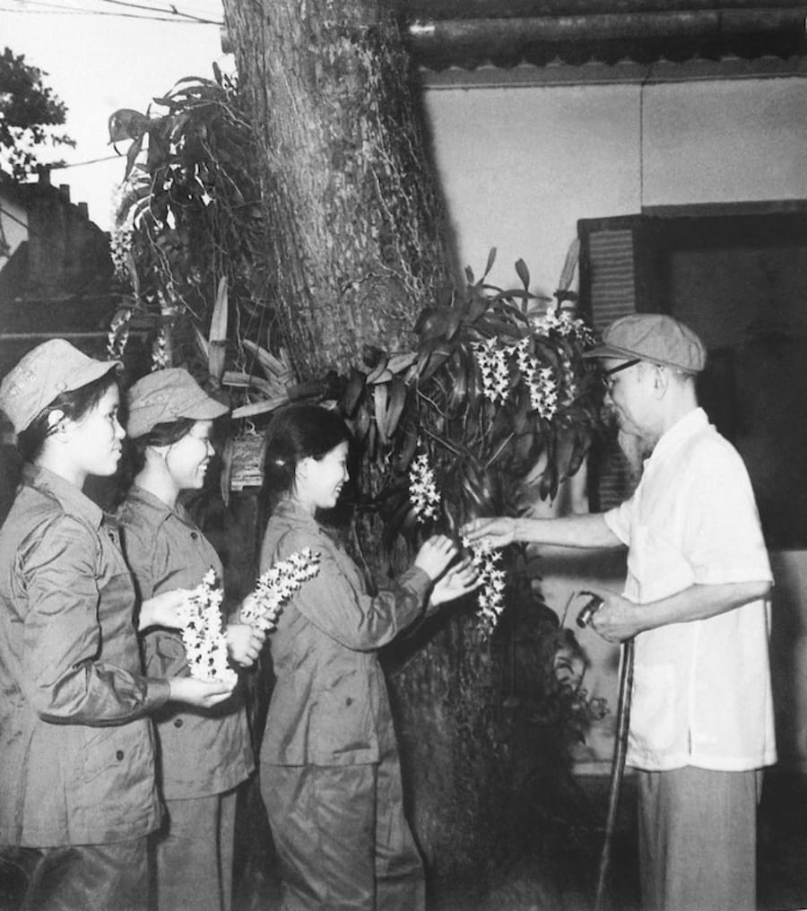 Hình ảnh Bác Hồ tặng hoa cho ba nữ dân quân Quảng Bình, Vĩnh Linh (1968)
