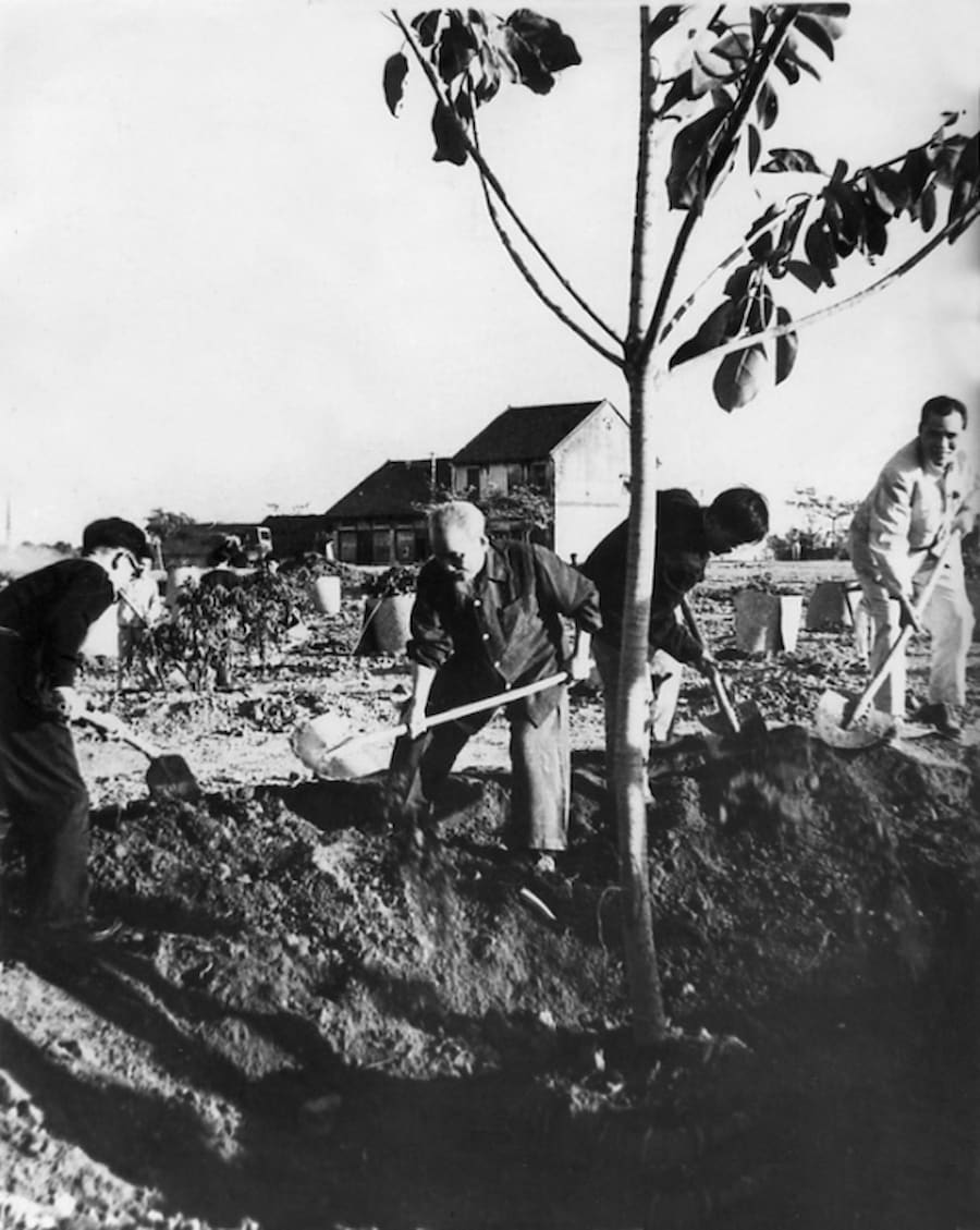 Hình ảnh Bác Hồ cuốc đất tại Công viên Thống nhất, mở đầu Tết trồng cây (1960)