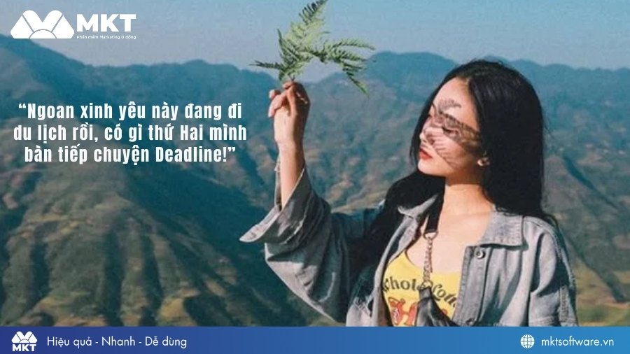 STT du lịch hài hước, mặn mòi cho chuyến đi du lịch