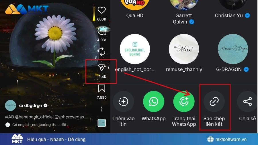 Sao chép video Reels Instagram muốn tải