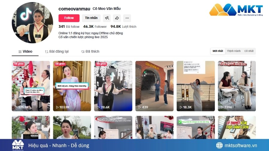Kênh TikTok Cô Meo Văn Mẫu chuyên về nội dung cô vấn chiến lược phòng live