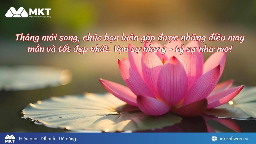 Lời chúc mùng 1 đầu tháng cho khách hàng và đối tác